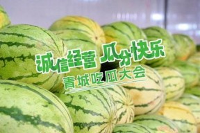 吃瓜大会,揭秘娱乐圈幕后故事与热点事件