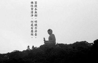 何处惹尘埃,探寻尘埃背后的故事与启示