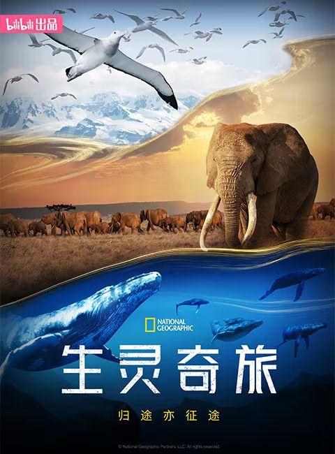 生灵奇旅,共赴奇幻旅程——生灵奇旅之旅