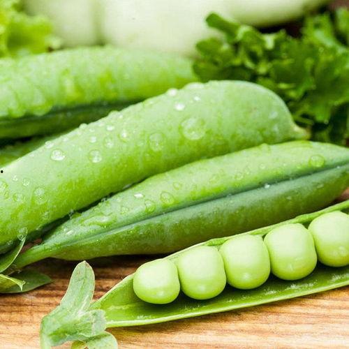 甜豌豆传奇,一颗豌豆的奇幻旅程