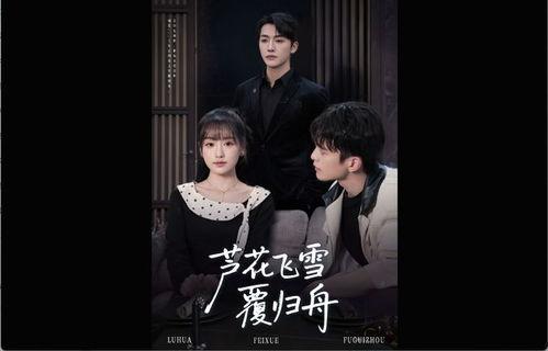 芦花飞雪覆归舟,冬日江畔诗意画卷