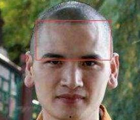 人中龙,传奇人物的非凡人生