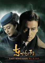 东风雨,风云变幻的乱世传奇