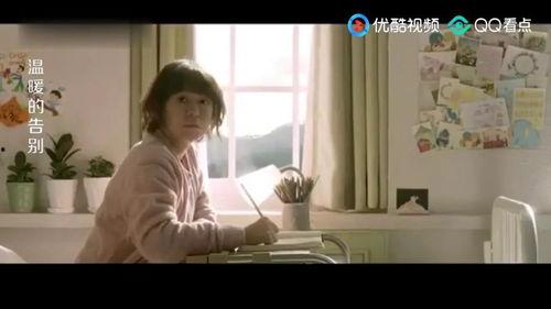 温暖的告别,回忆与祝福交织的篇章