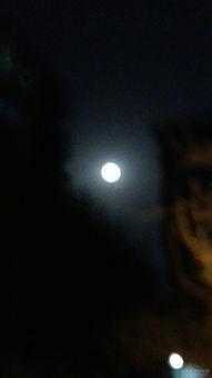 冷月亮,探寻神秘冷月亮的奥秘