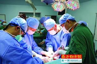 移植手术 第三季,第三季深度揭秘